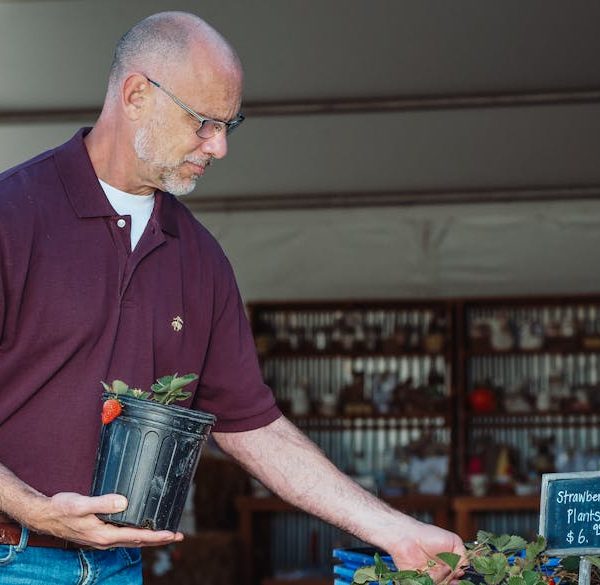 Top Potted Vegetables for Thriving Container Gardens