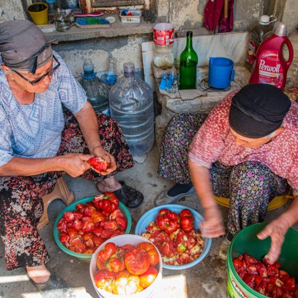 Top Shade-Tolerant Vegetables to Grow in Your Garden