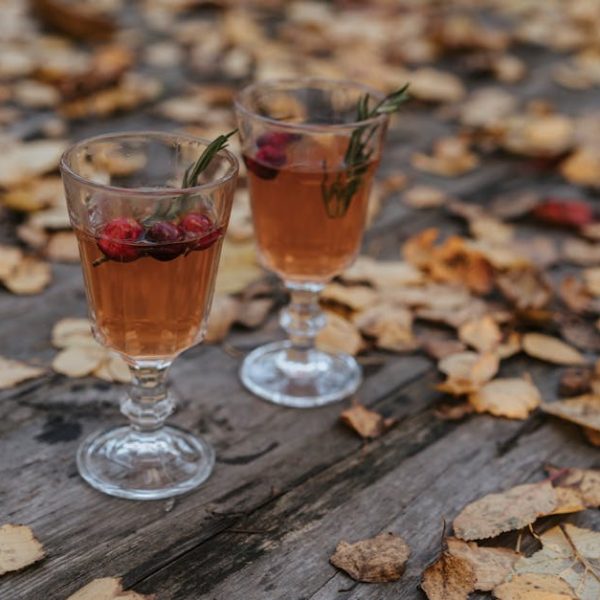 Transplanting Cranberries: Top Tips for a Successful Harvest