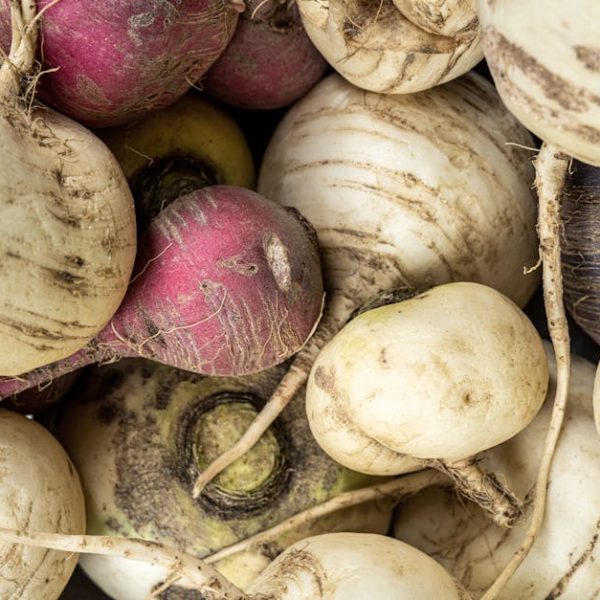 Turnip Plant Care: Tricks for Growing Healthier Turnips