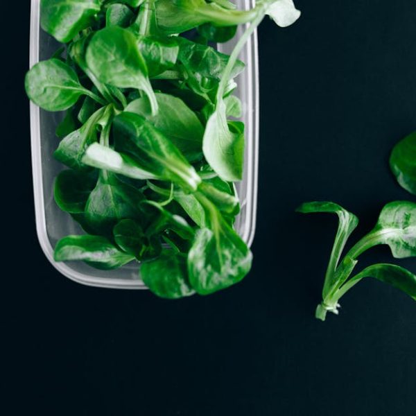 10 Effortless Ways to Grow Basil at Home for Beginners