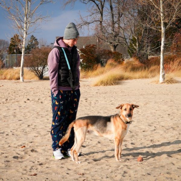 11 DIY Tips: Homemade Urine Repellents to Keep Dogs Away