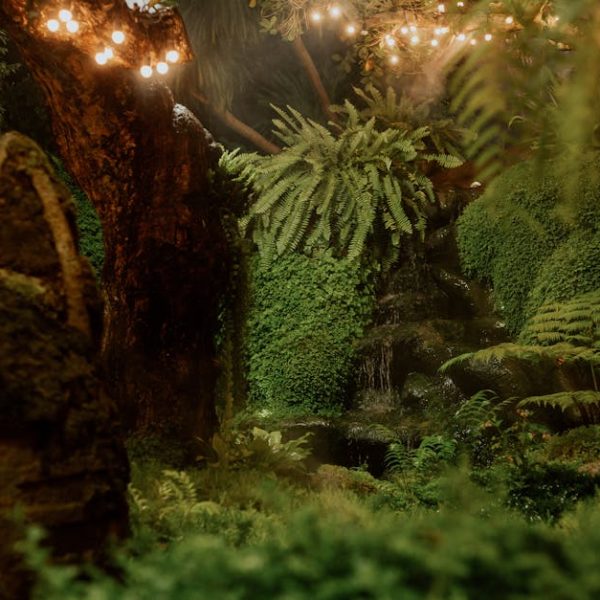 14 Amazing Shrubs for Slope Stability & Erosion Control Solutions