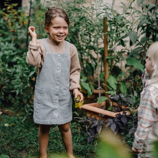 14 High-Impact, Fast-Growing Shrubs for Sunlit Gardens