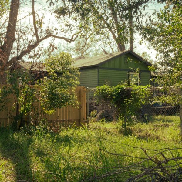 17 Fast-Growing Privacy Bushes to Shield You from Nosy Neighbors