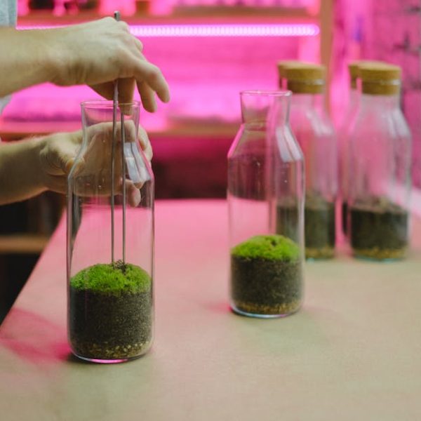 5 Safe and Natural Homemade Moss Killer Recipes