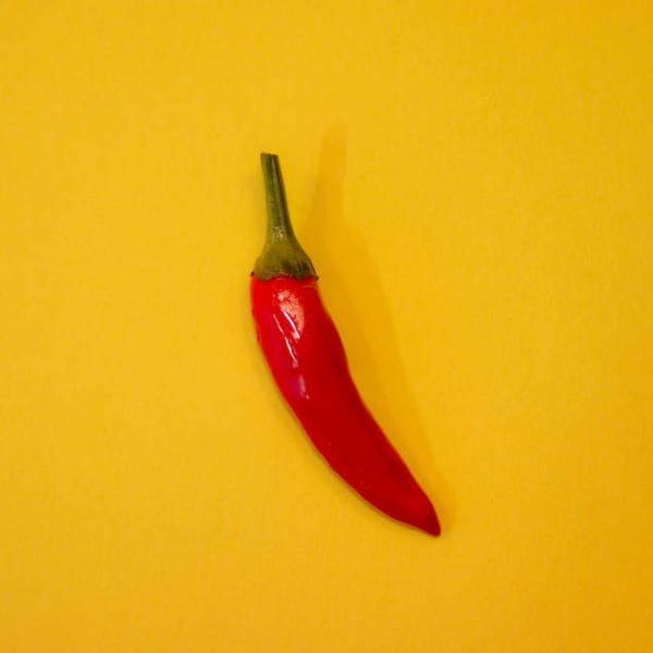 7 Easy Tips for Growing Peppers in Pots Successfully