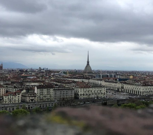 7 Spectacular Strategies to Effectively Repel Garden Moles