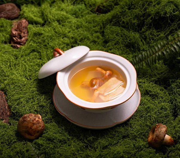 Choosing the Right Type: Common Varieties of Ginseng Explained