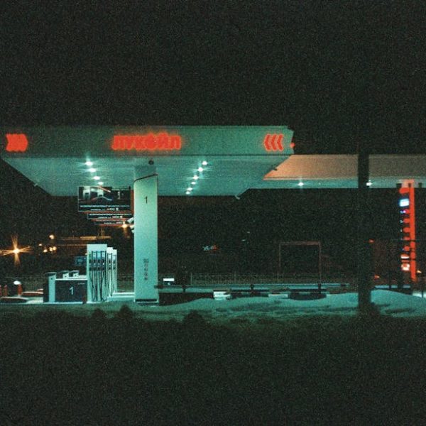 Effective Stink Bug Control: Homeowner’s Guide to Neem Oil