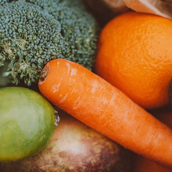 Indoor Broccoli Garden: Easy Tips for Home-Grown Success