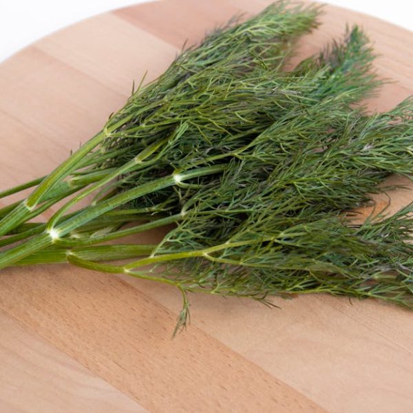 Master the Okra Harvest: Optimal Time and Tips for Perfect Picking