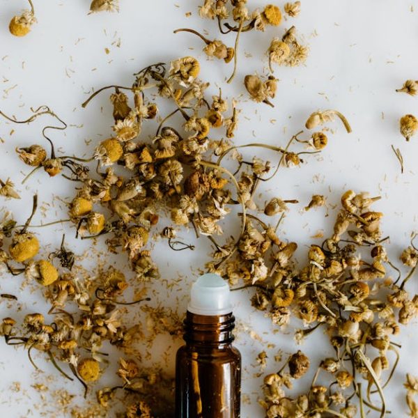 Neem Oil for Houseplants: Effective Solutions for Common Problems