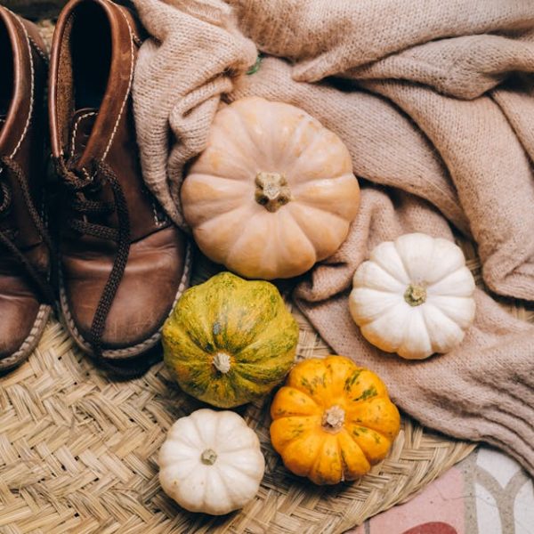 Perfect Timing: Mastering Pumpkin Plant Growth for Top Harvests