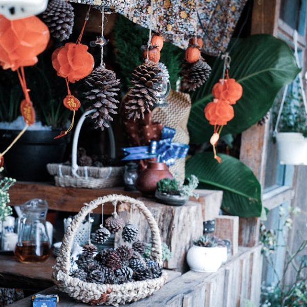 Top Plants to Create Stunning Hanging Baskets