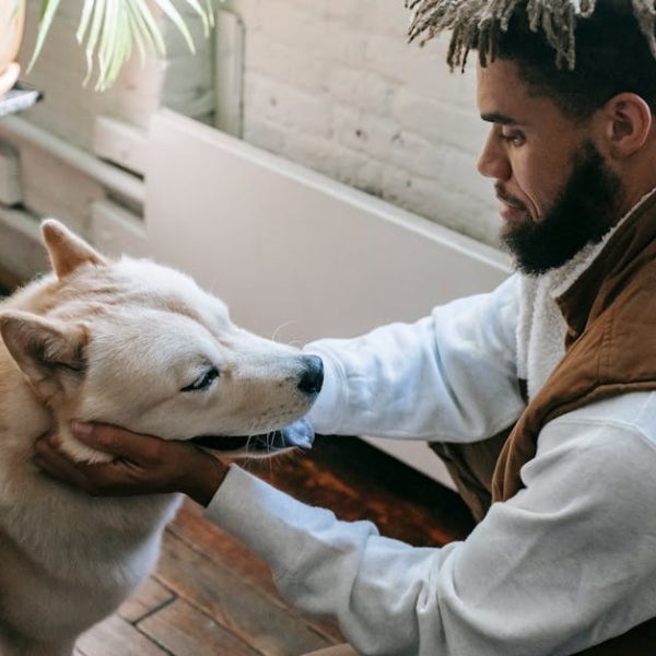 Unlocking Success: The Science of Effective Companion Planting