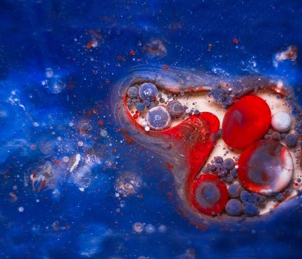 Will Neem Oil Kill Ladybugs? Ensuring Safety in Your Garden