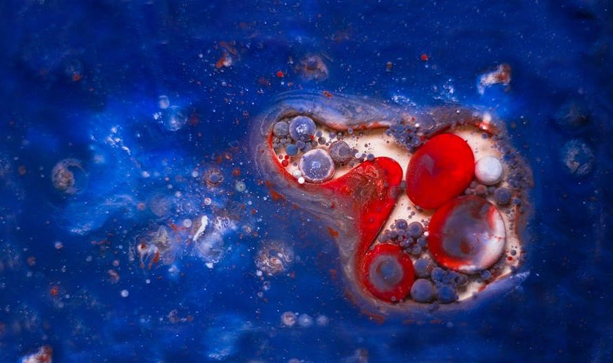 Will Neem Oil Kill Ladybugs? Ensuring Safety in Your Garden